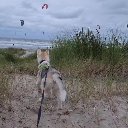 Willa Surfin Koksijde Zewnętrze zdjęcie